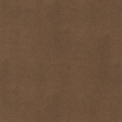GAUCHO - Chestnut