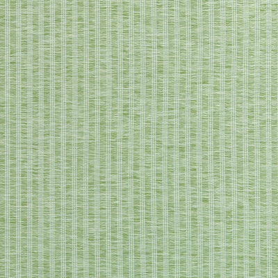 SALEM STRIPE - Mojito