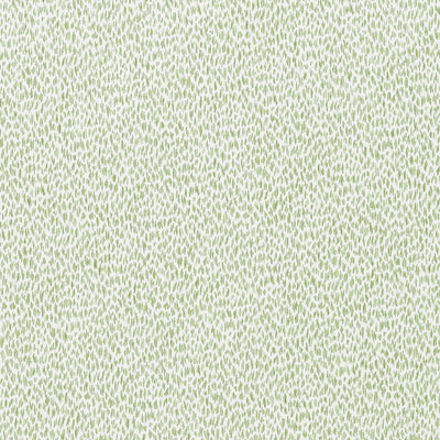 SAMARA - Mojito