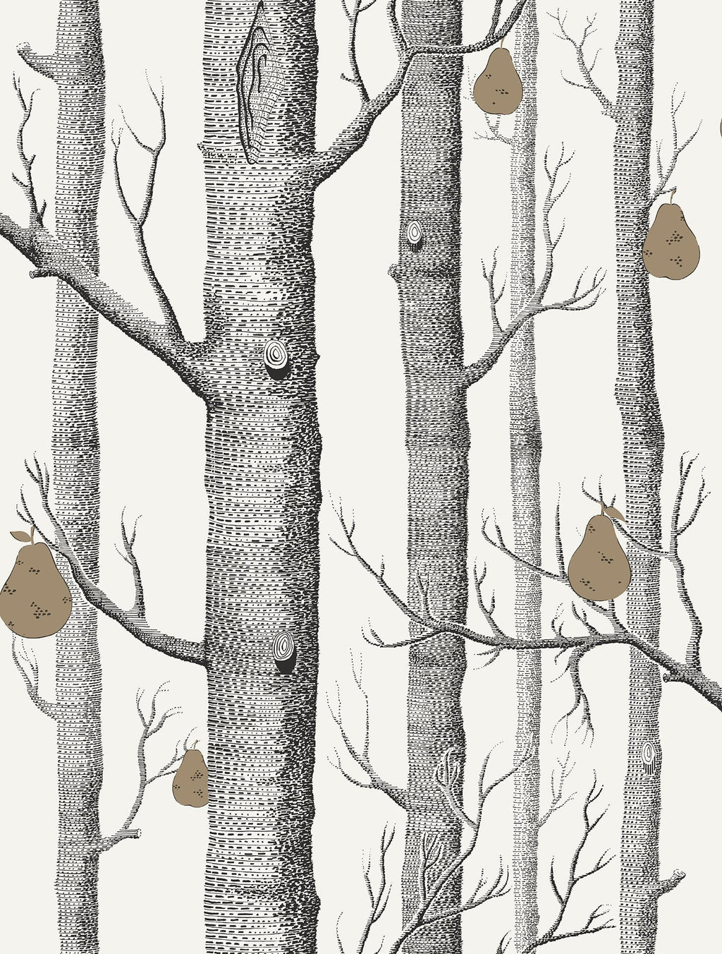 Woods & Pears Charcoal & Metallic Bronze on Parchment