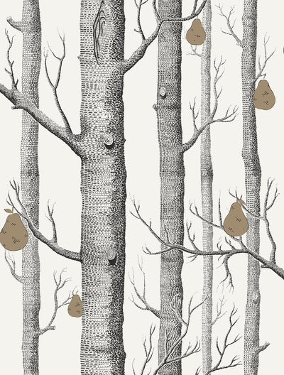 Woods & Pears Charcoal & Metallic Bronze on Parchment