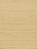 Ernesto Ble - Natecru Textures N.1