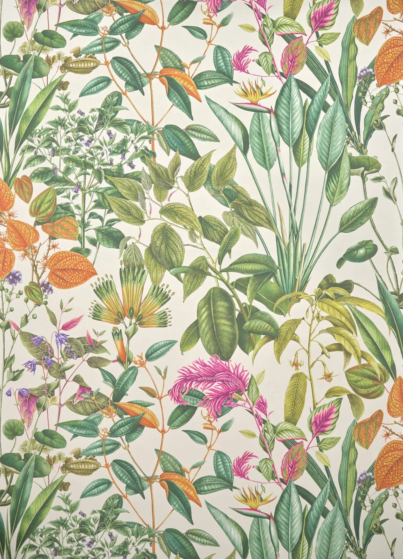 Courtine Fin D'ete - Jardin À La Française