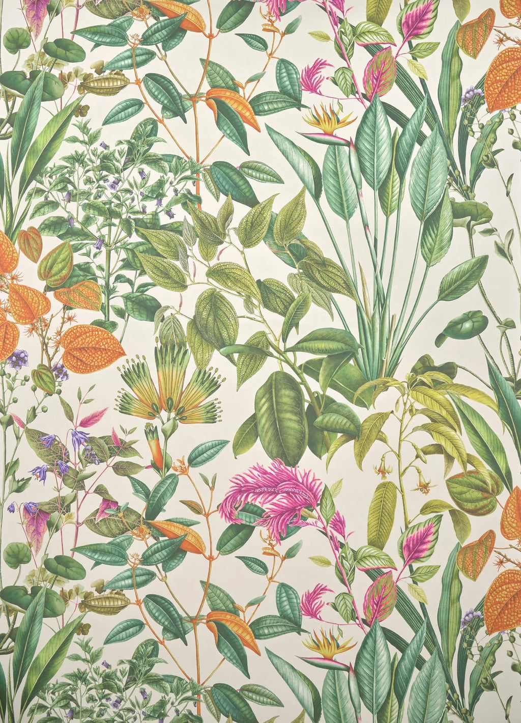 Les quatre potagers Vegetal - Jardin À La Française