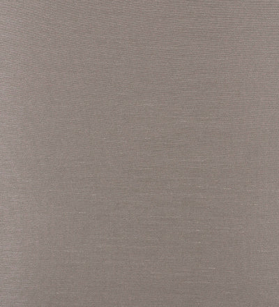 ZEP008 (Zephyr)