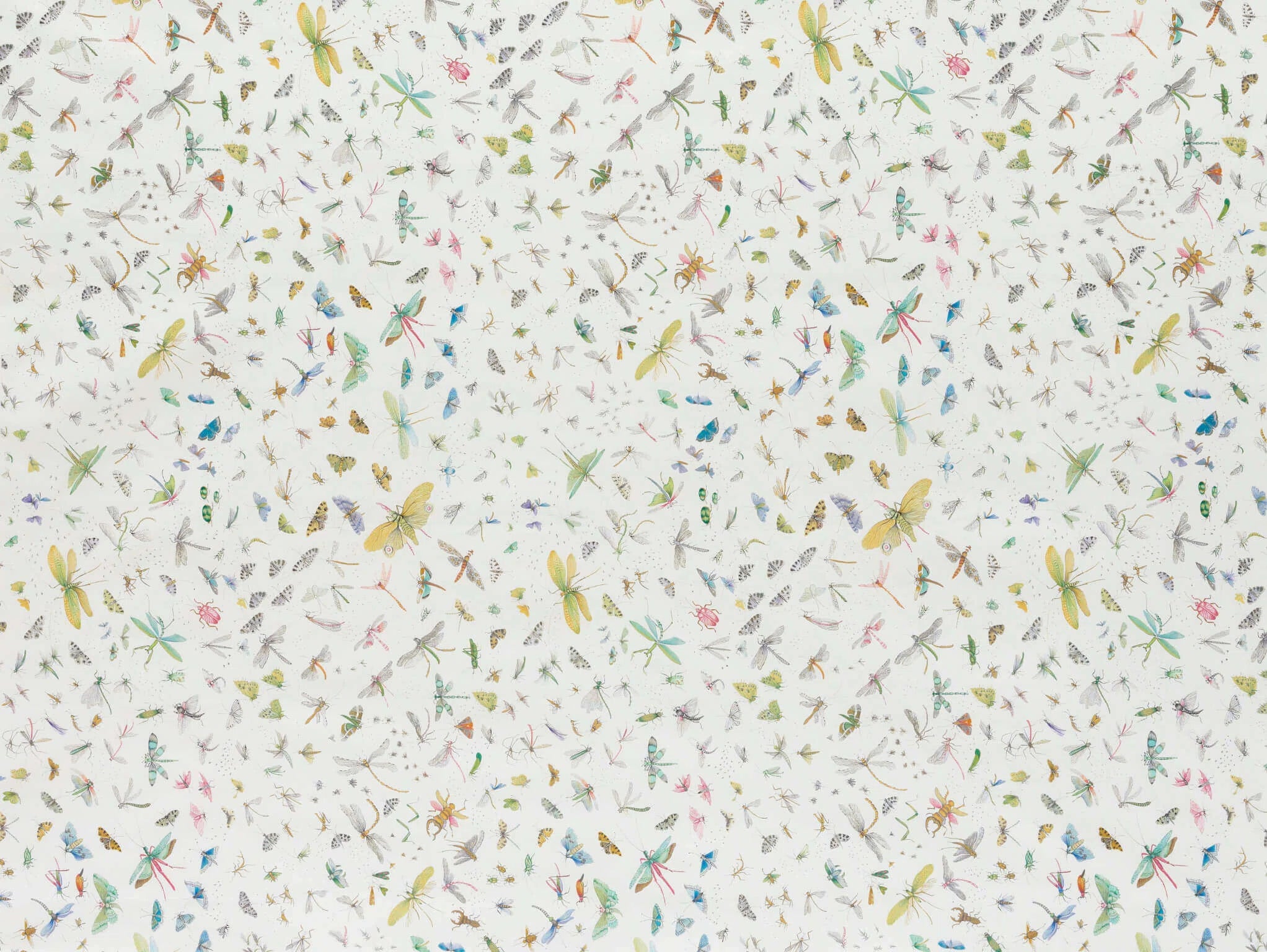 La serre aux papillons Printemps - Les Dessins 4