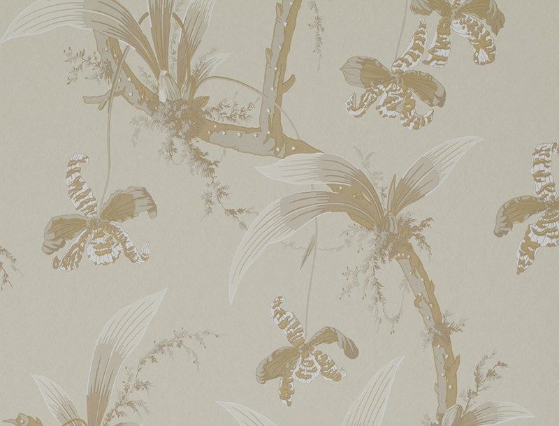MANDARIN ORCHIDS WALLPAPER (Temple of Dawn Wallpaper)