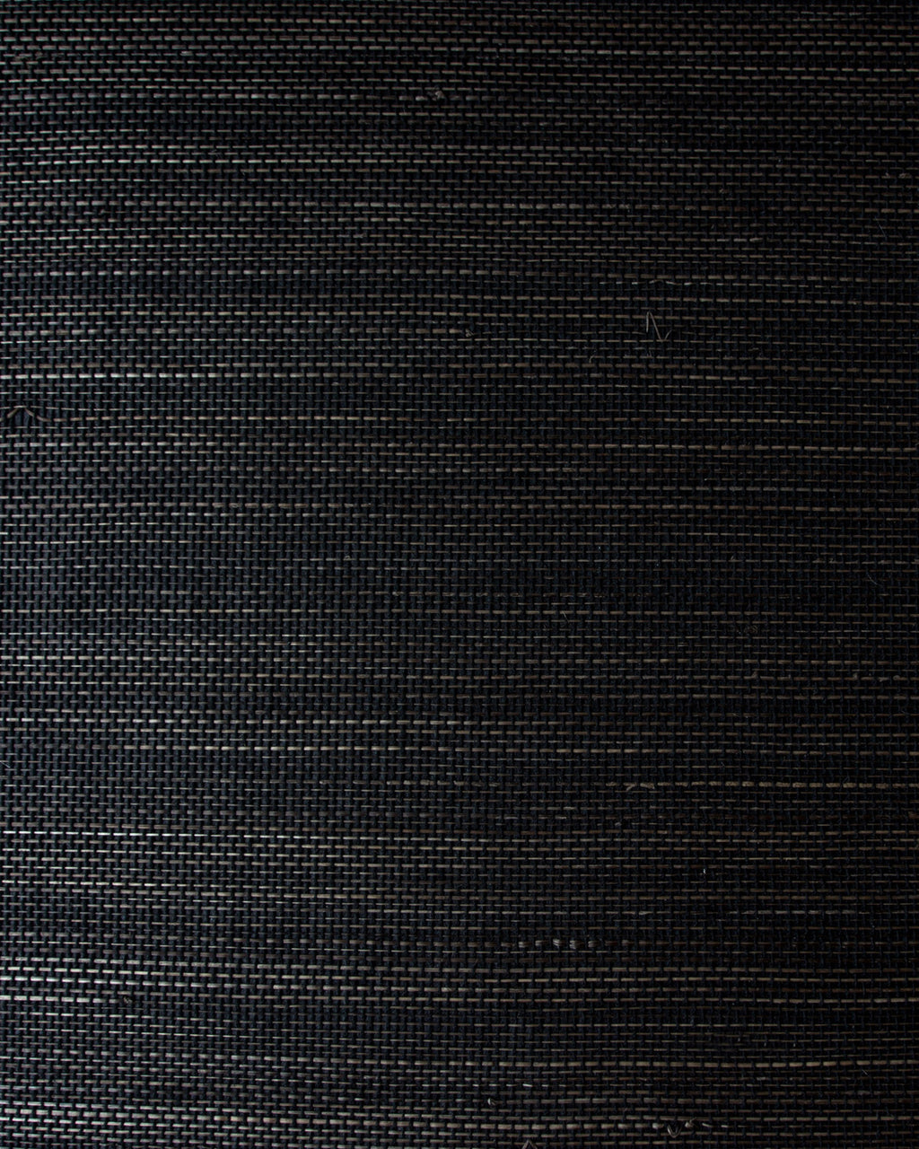 ABC005 (Abaca)