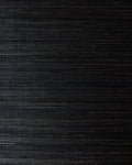 ABC005 (Abaca)