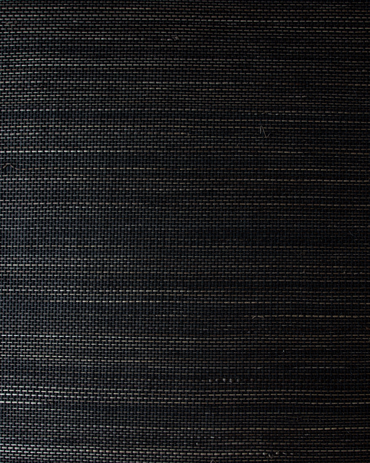 ABC005 (Abaca)
