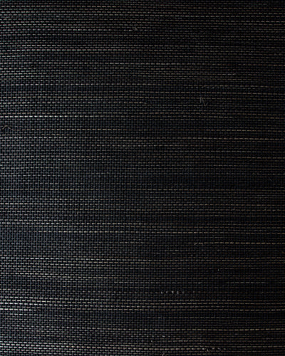 ABC005 (Abaca)