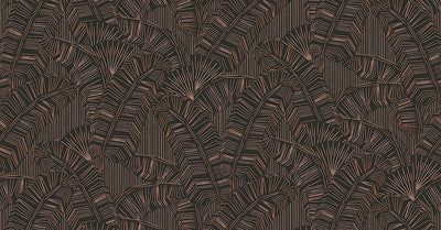 Solana Chocolate