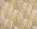 Calathea Mousse - Jardins Secrets