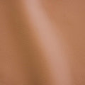 Polis Nudo