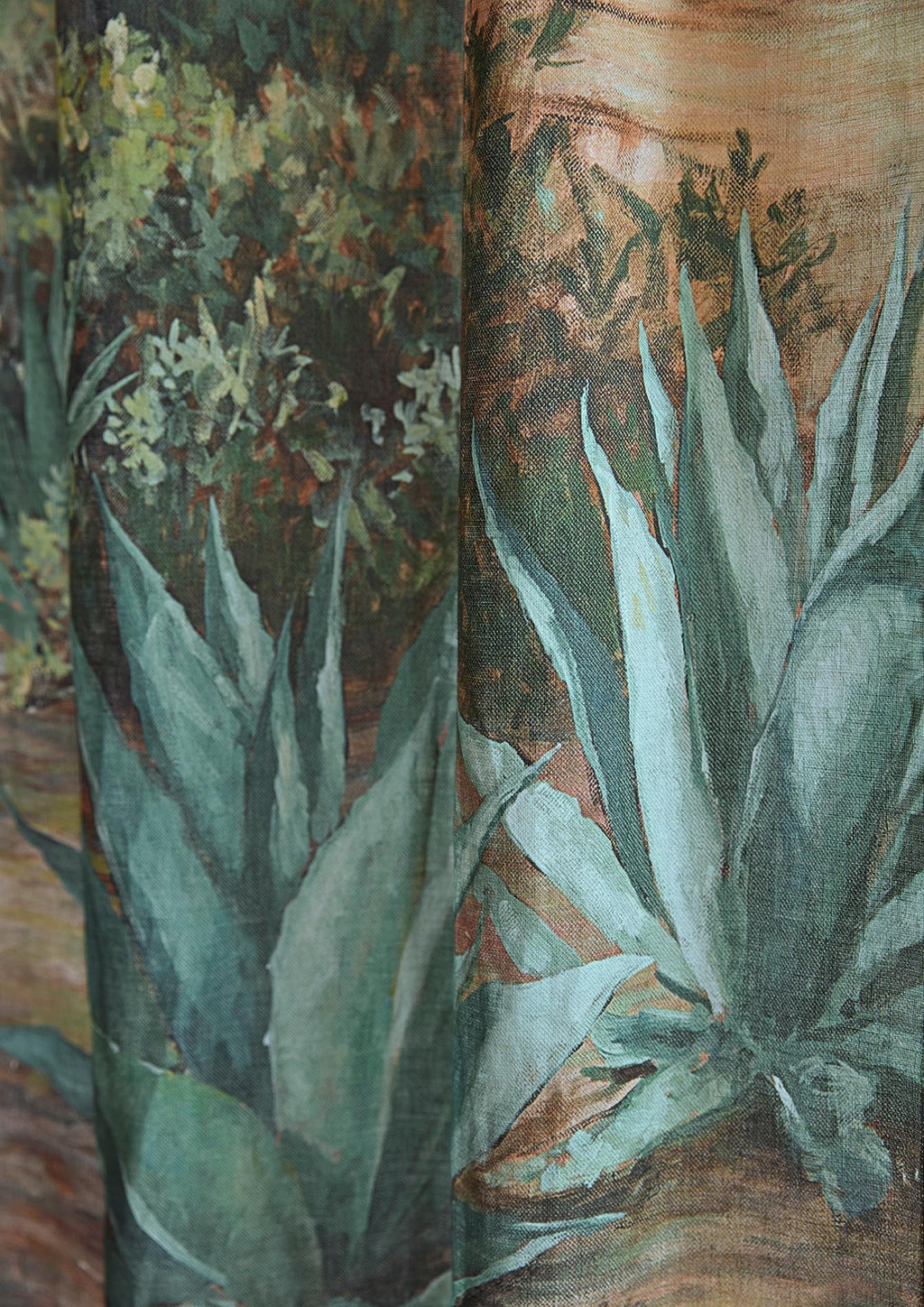 L'esterel Agave - Galerie