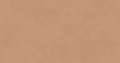 Color Camel