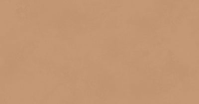 Color Camel