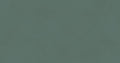 Color Pine
