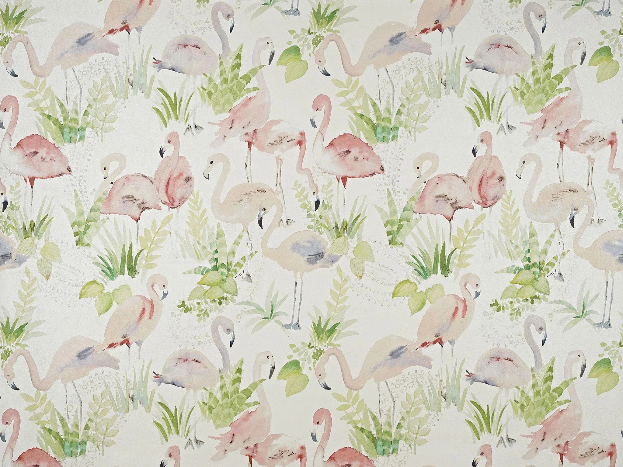Les flamants roses Rose - Dessine Moi Un Mur !