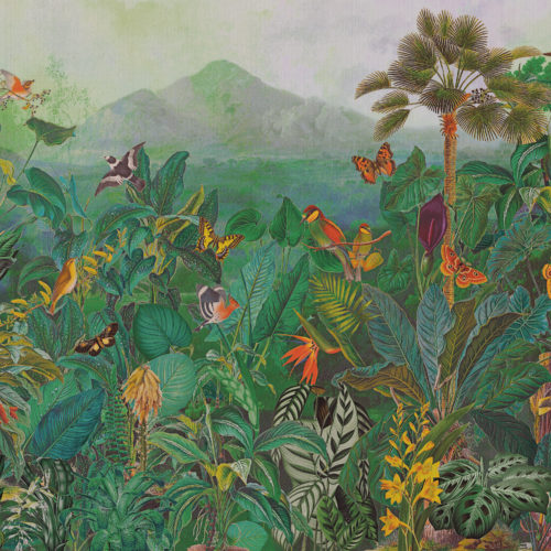Birds Of Paradise - BOP401