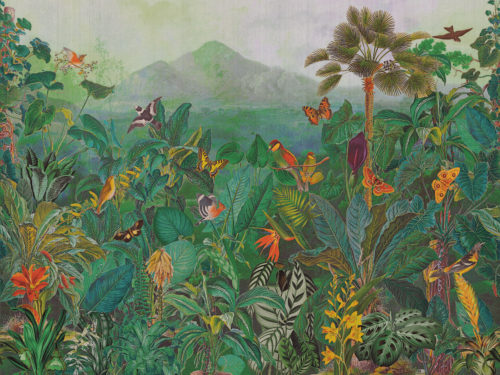 Birds Of Paradise - BOP702