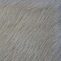 Rodeo Hairy Nuvola