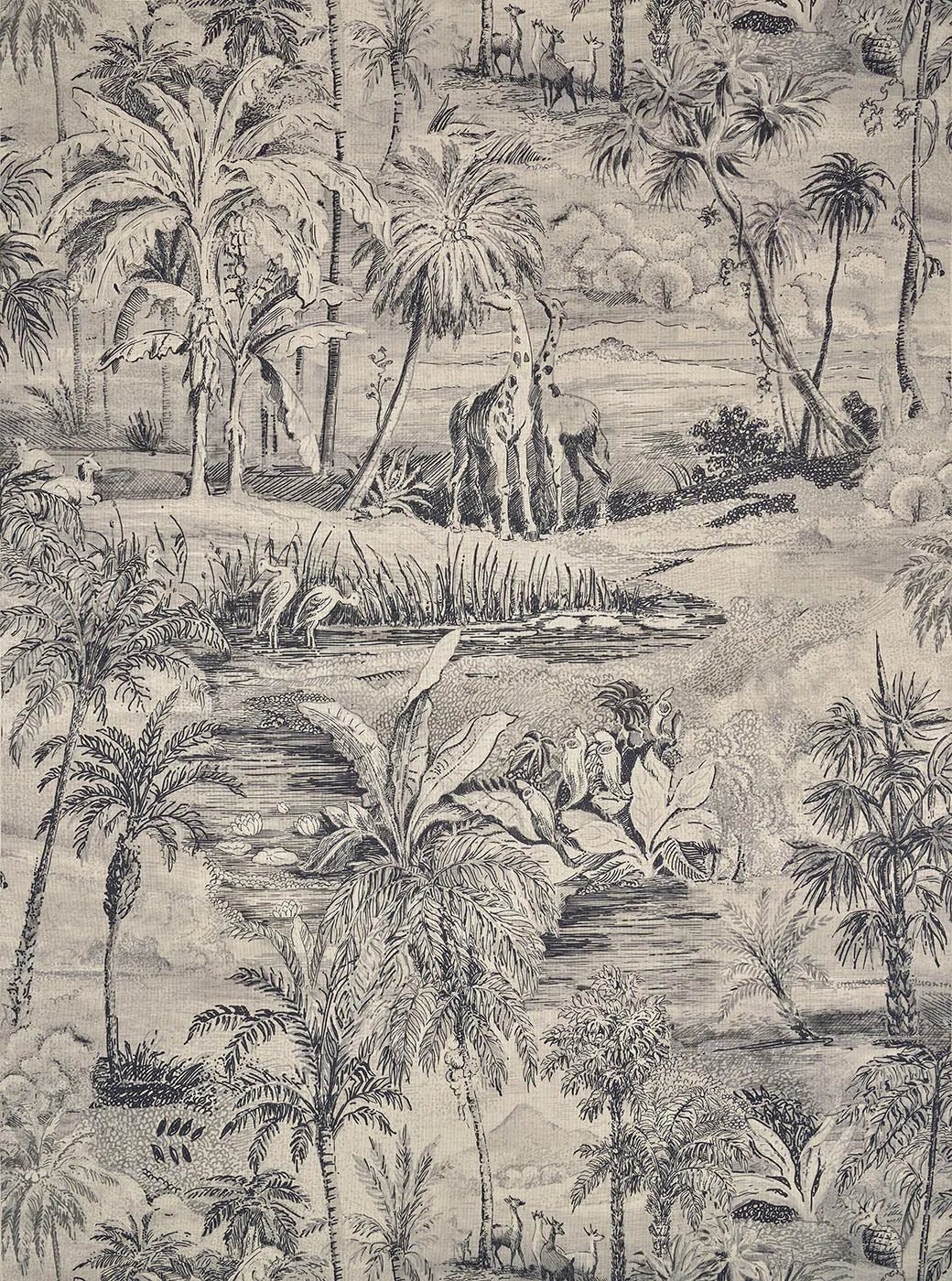 Safari Charbon - Deserts