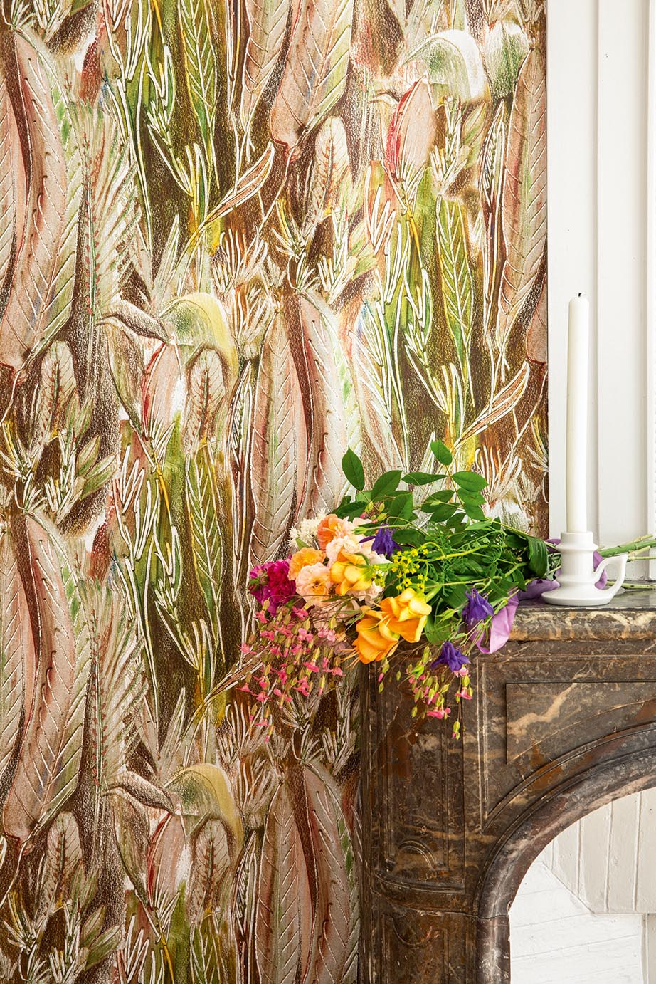 Calathea Mousse - Jardins Secrets