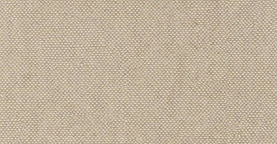 Lys Angora