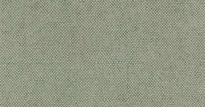 Lys Celadon