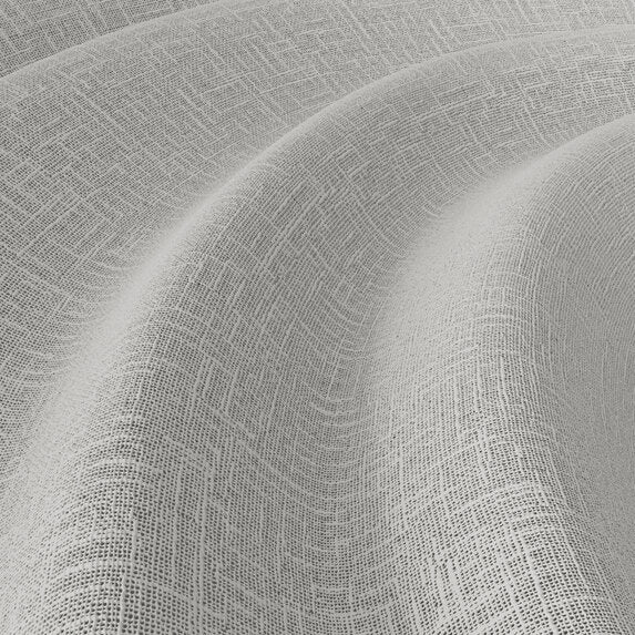 Meringue - 1014111