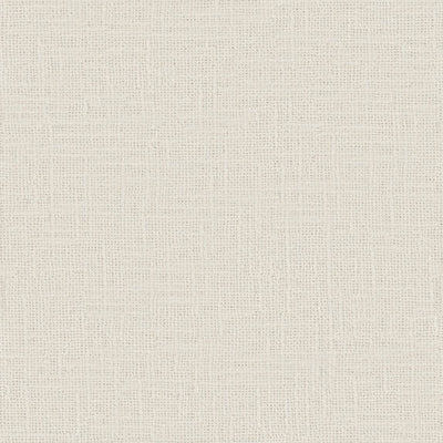Meringue - 1014131