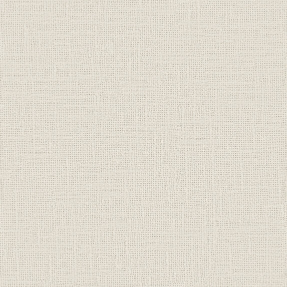 Meringue - 1014131
