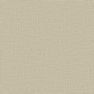 Meringue - 1014312