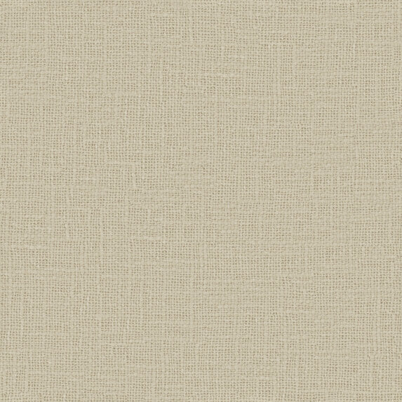 Meringue - 1014312