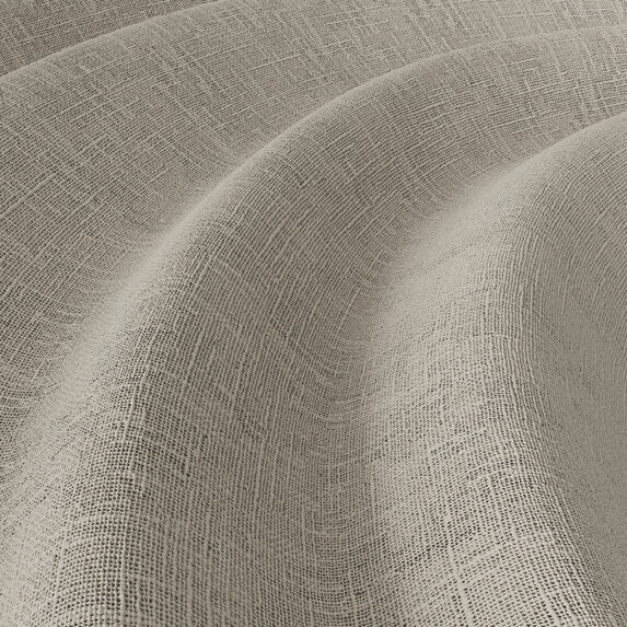 Meringue - 1014381