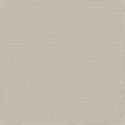 Meringue - 1014381