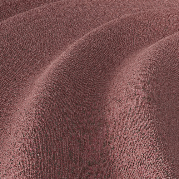 Meringue - 1014553