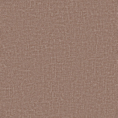 Meringue - 1014573