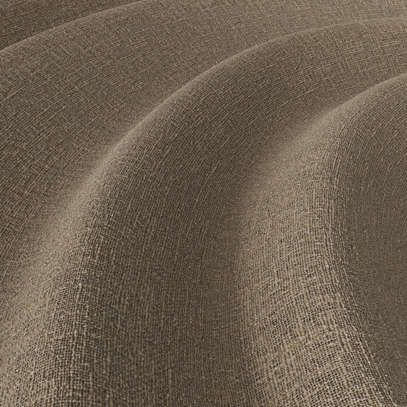 Meringue - 1014733
