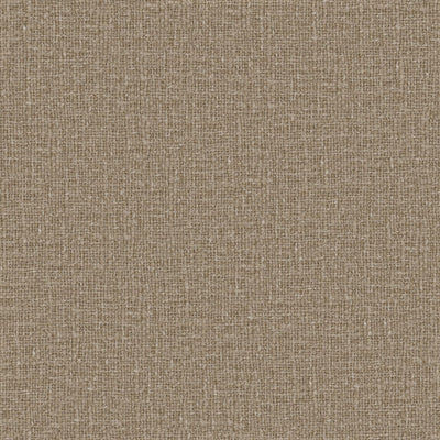 Meringue - 1014733