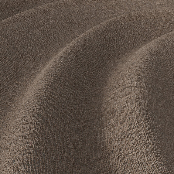 Meringue - 1014774
