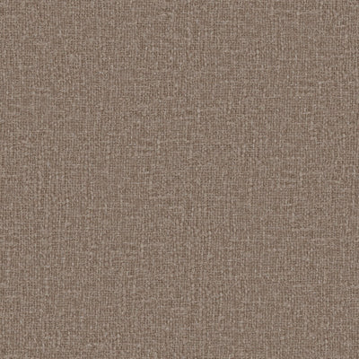 Meringue - 1014774