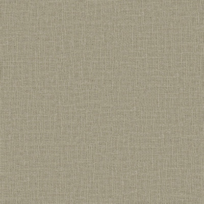 Meringue - 1014842