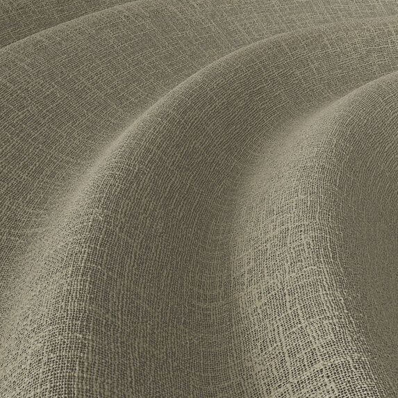 Meringue - 1014842