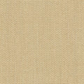 Bagheera - 1016342