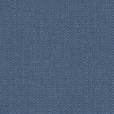 Bagheera - 1016664