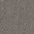 Bagheera - 1016734