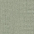 Bagheera - 1016843