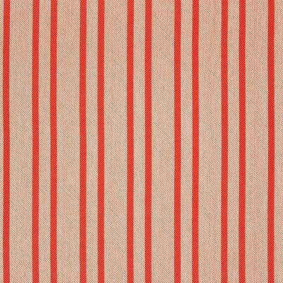 Caribbean Stripe - 10449382
